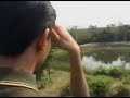 sundarban