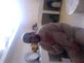 videos de abdessamad03