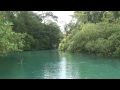 Click here to watch this video The Search for the Pygmy Three-toed Sloth on Escudo