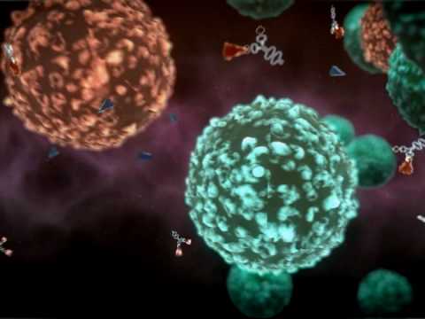 plavix vitamin k plavix vitamin k