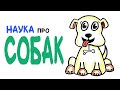https://www.youtube.com/watch?v=DebLiqoqkKA