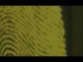 WASG NI / 10.2005 - Die Illusion und der Milchregen