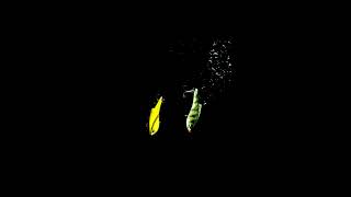 Видео: Цикада Rapala Rippin Blade