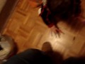 LorenzoMarkerhands.MPG