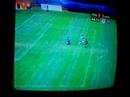 Gol de puebla