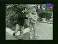 SLCHI- PiPo and Fadia