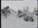 AVALANCHE Seriously hit skier, Norway
