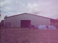 Standardbred jumping!