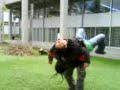 MOV00287 xvid