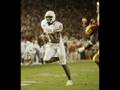 PICS OF TEXAS LONGHORNS!!