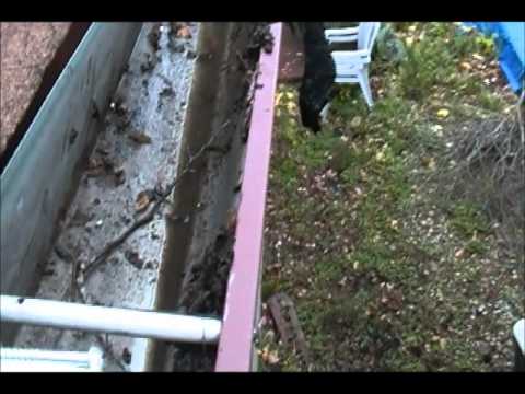 how to repair eaves