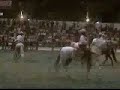 caballos domecq