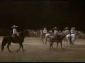 caballos domecq