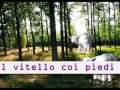 Il Vitello dai Piedi di Balsa