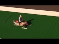 Red Bull New Year No Limits 2010 - World Record Snowmobile Jump - Levi LaVallee