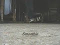 Smoothie Cwalk- Git It Girl