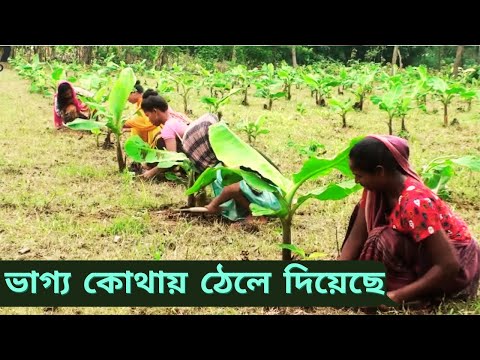 রূপশিল্পীরা এখন কৃষি শ্রমিক|Beautician of parlor are now agricultural laborers। PS-0018