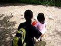 Flying birds