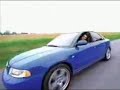 Bam Margera