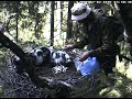 Obr?czkowanie bocian�w czarnych w Estonii - cz??? 4