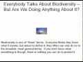 Everybody Talks About Biodiversity But Are We Doing Anything About It?