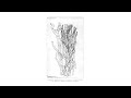 for kumagusu minakata and the beautiful form that create the forms