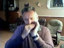Harmonica Ti-Paul  Les Chiens Jappent  Oh Suzanna