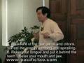 Mantak Chia DVD Elixir Chi Kung Clip 1