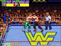 Wrestlefest - Mr.Perfect & Jake the Snake Wrestlefest - Mr.Perfect & Jake the Snake
