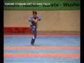 videos de Vovinam Viá»t VÃµ Äáº¡o - Long Há» Quyá»n