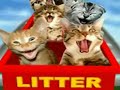 Very Funny Cats 20 Very Funny Cats 20