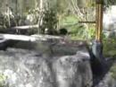Glarus