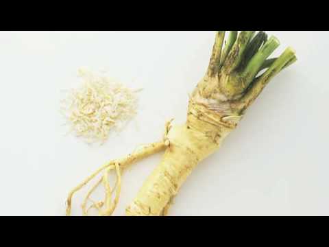 how to grow horseradish