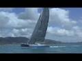 Cynophobe at Airlie Beach