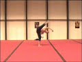 Team Superfly - Sonik Sampler#1 - 2004