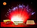 Display shell fireworks - Red Blue Glittering Bouquet 300S Display shell fireworks - Red Blue Glittering Bouquet 300S