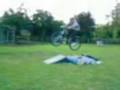 Pictures