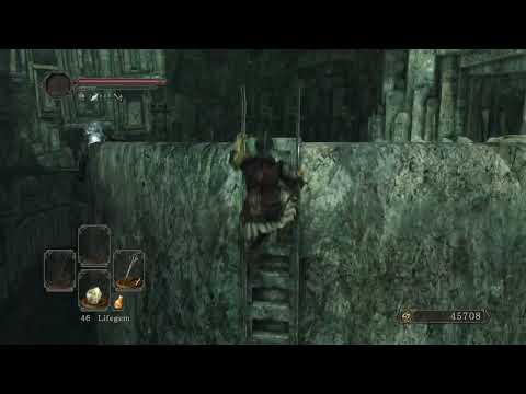 Titanite Chunk at Doors of Pharros