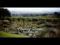 Pasoharvestfilms - Ep 4 - Tiffinee Vierra of Derby Wine Estates