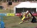 Houstonians at the USDAA National Championships 2007