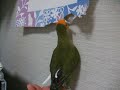 おかーたんの　いじわる！！