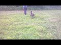 Click here to watch this video Sage Von Lonestar.mp4