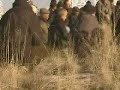 Kepic koyu felahiye kayseri
