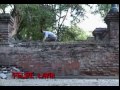 toro salvaje video parte 2 toro salvaje video parte 2