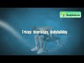 BodyBuilding Tricep Workout with Dumbbells: Exercise for Developing Stronger Triceps