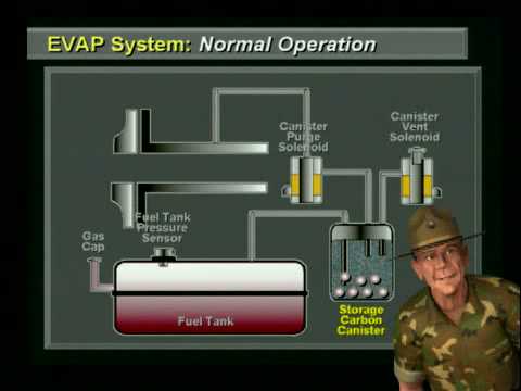 how to eliminate evap system