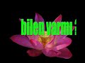..BİLEN VARMI?..