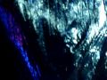 Eurovision 2009