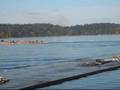 videos de The Sport of Rowing