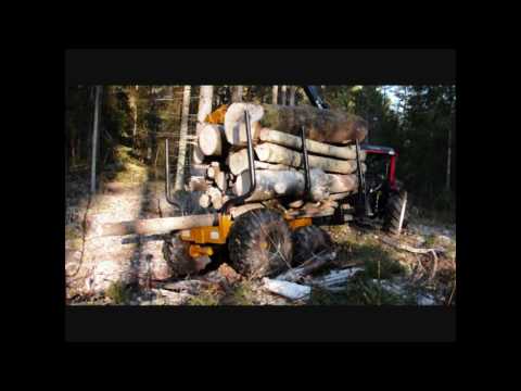 how to collect firewood